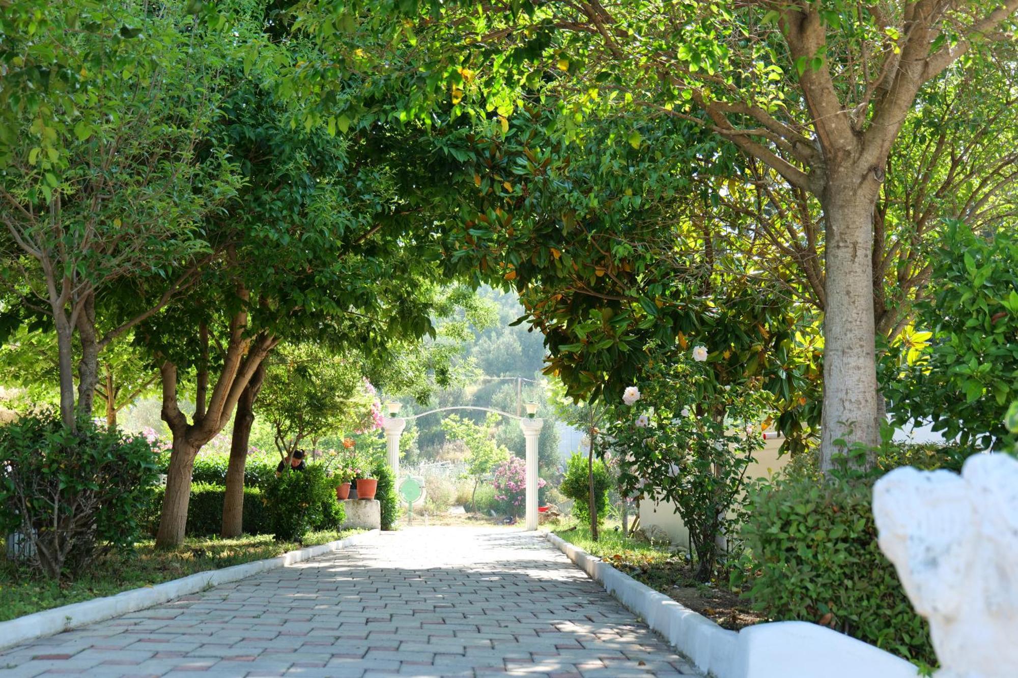 Edva Resort Radhimë Dış mekan fotoğraf